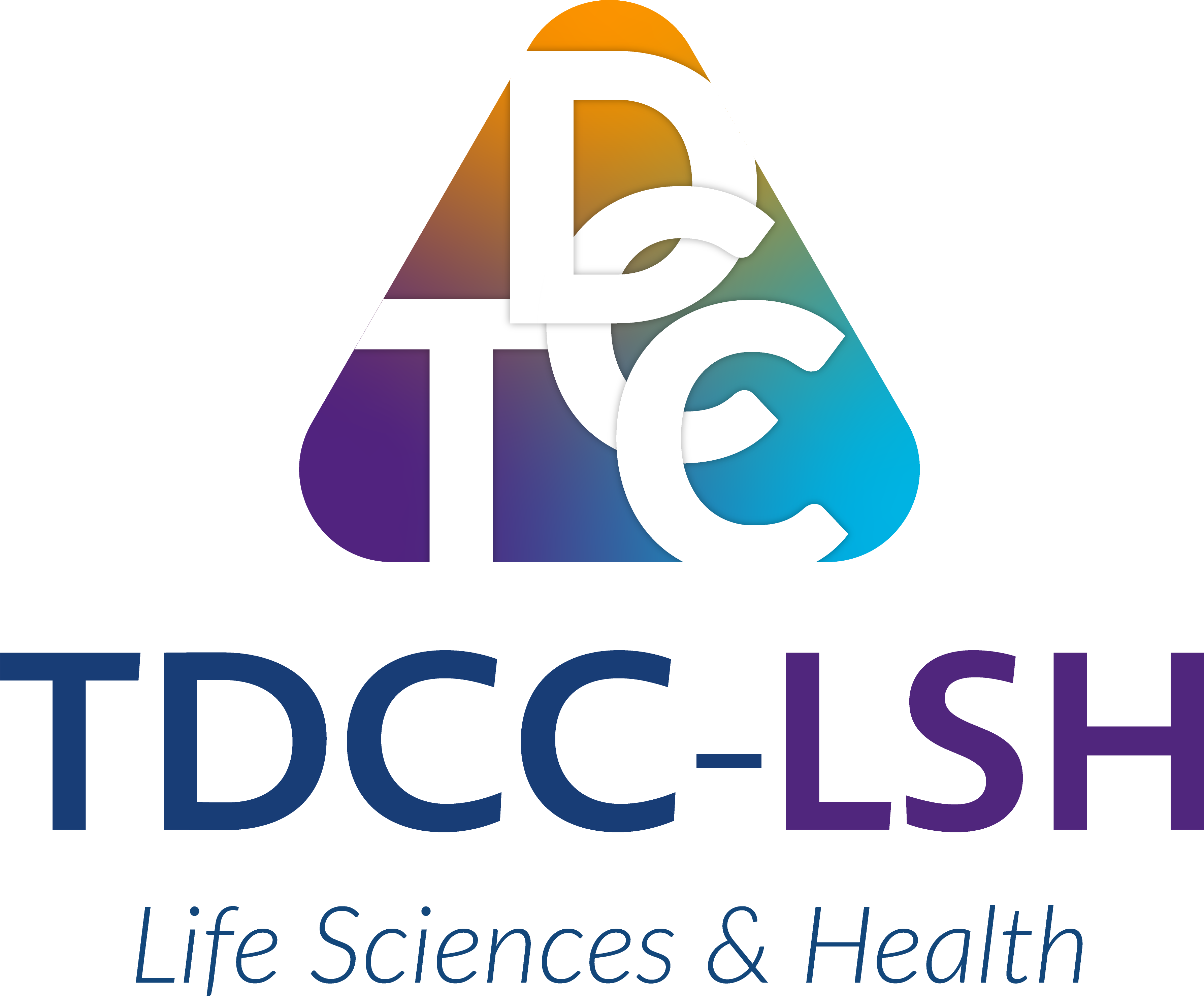 TDCC-LSH